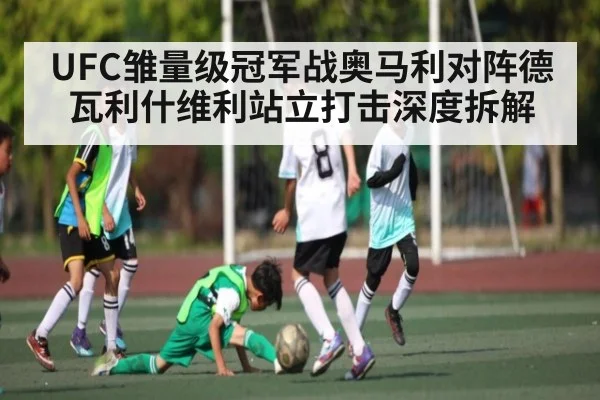 UFC雏量级冠军战奥马利对阵德瓦利什维利站立打击深度拆解